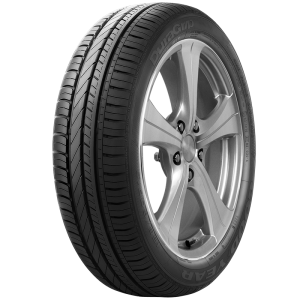 Goodyear DuraGrip