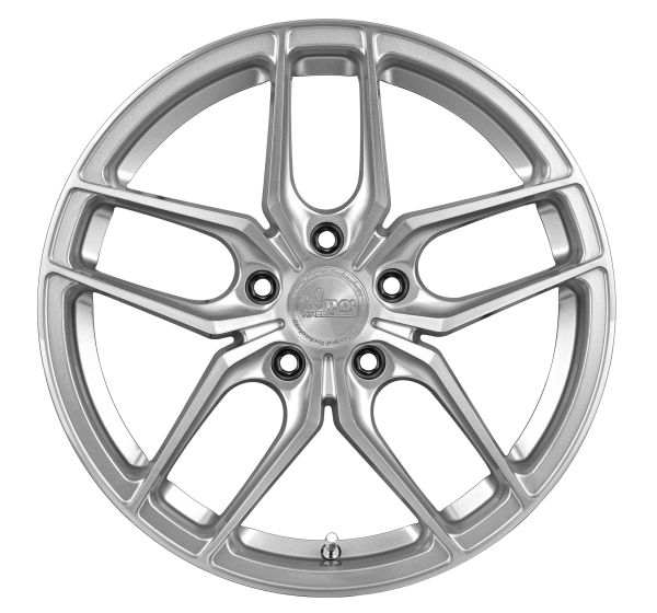 King Taro Silver Brushed - Image 2