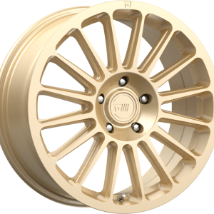 MR141 Rally Gold
